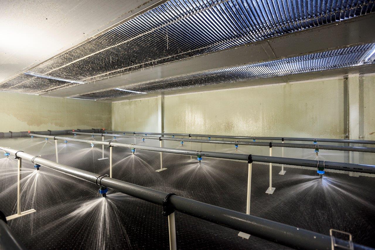 Ammonia scrubber sprinklers