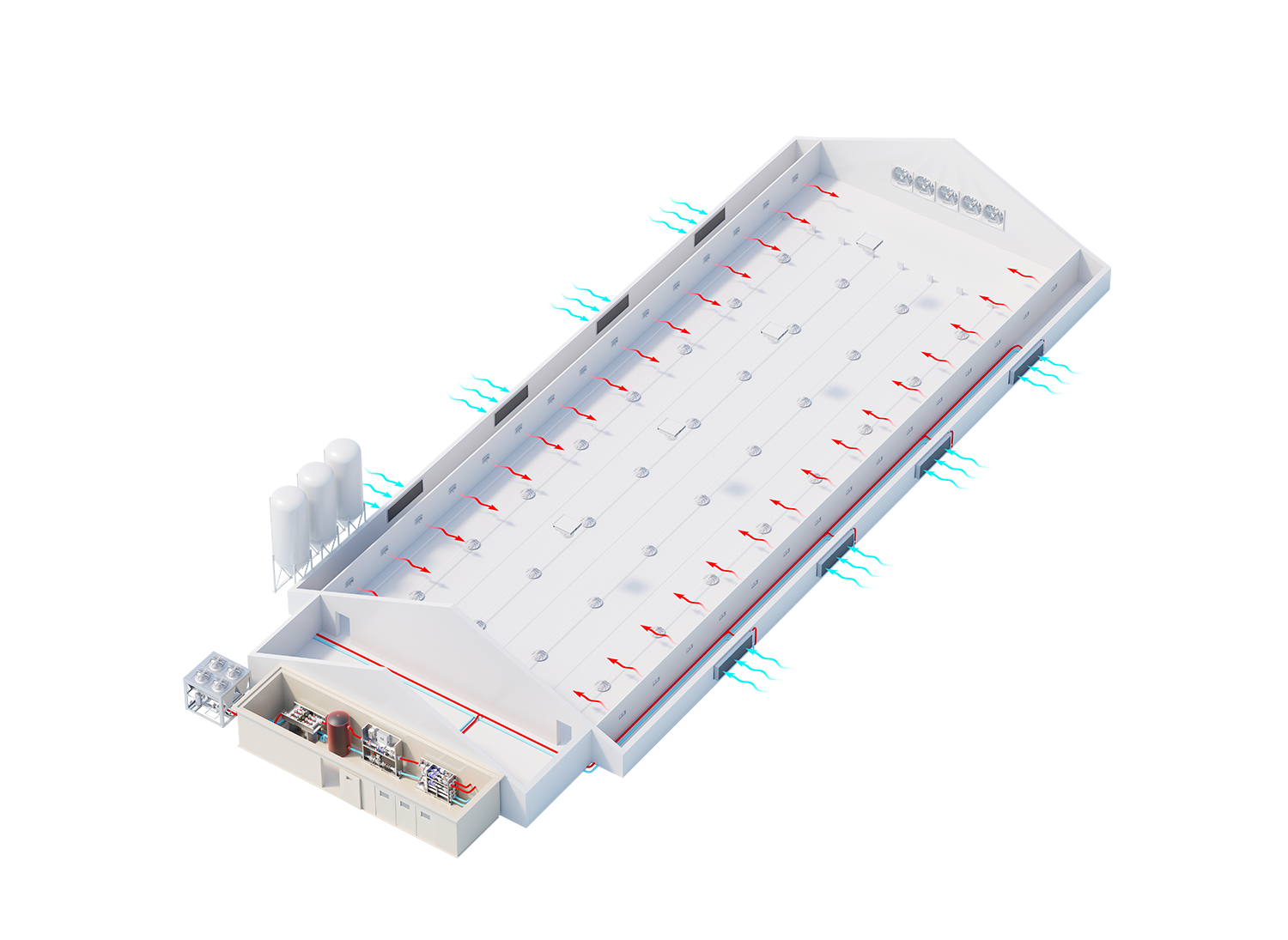 Vleeskuikens met InnoHeat